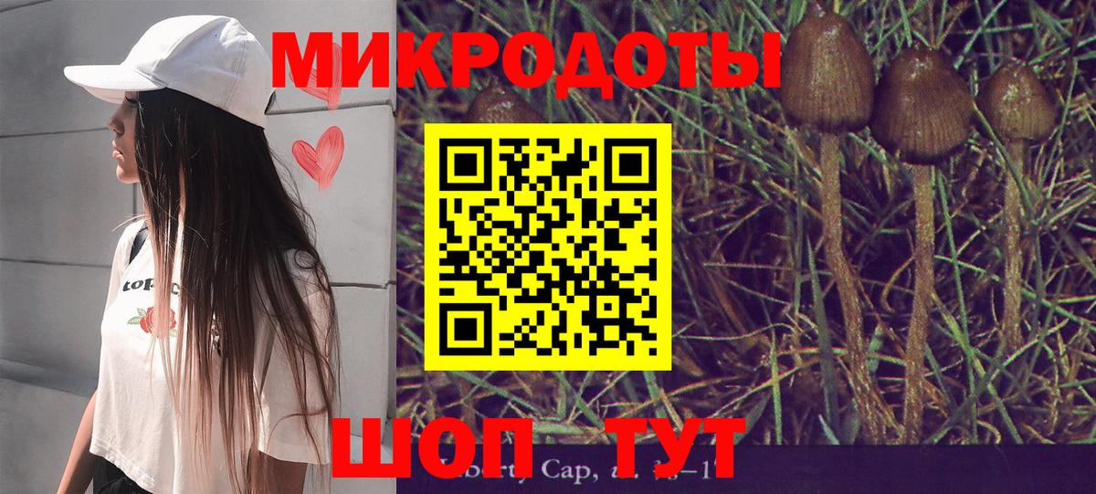 Галлюциногенные грибы мицелий Отрадное
